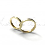 Desenho 3D das alianças.